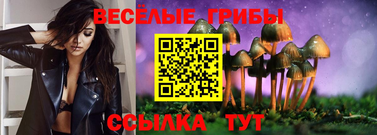 цена наркотик  Вход с VPN  Санкт-Петербург  Псилоцибиновые грибы Psilocybe 